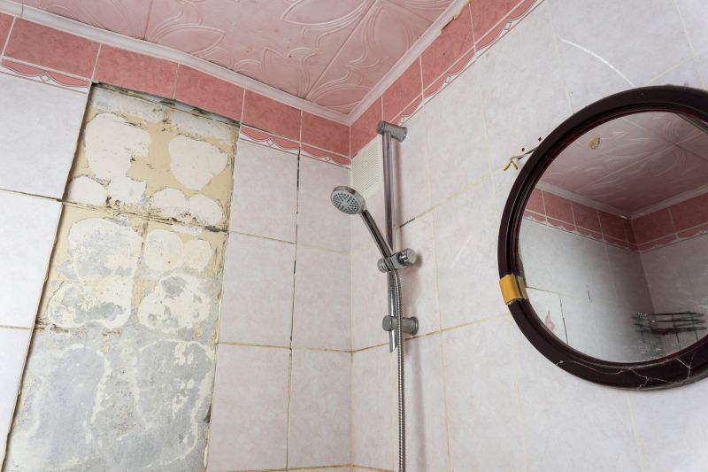 Top Shower Remodeling Companies in Savage, MN