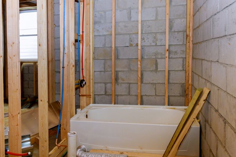 Top Tub To Shower Conversion Companies in Excelsior, MN