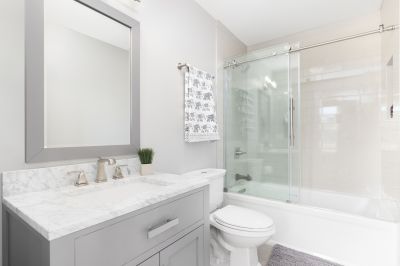 Top Tub To Shower Conversion Companies in Lakeville, MN