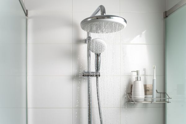 Cost of Shower Conversion Service in Eden Prairie