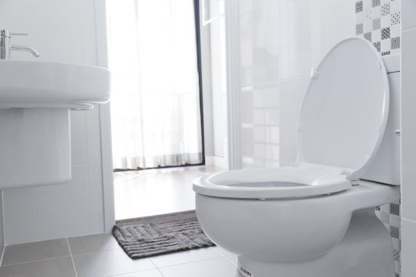 Cost of Toilet Relocation in Eden Prairie